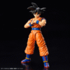 Bandai - Dragon Ball Z - Son Goku Model Kit